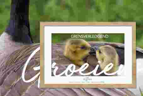 SKOBOS Grensverleggend Groeien